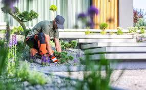 Transform Your Landscape with Sea Breeze Lawn Care